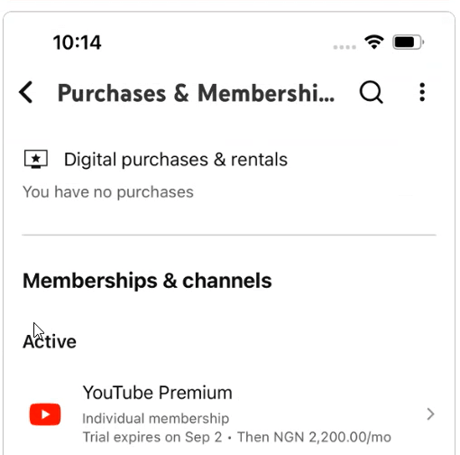 Aktive YouTube-Premium-Mitgliedschaft im YouTube-Konto